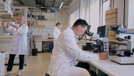 Scientists in the laboratory