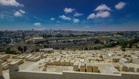 کوهی به نام زیتون