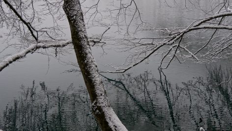 تصویر برفی در آب